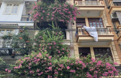 Dự án Sửa nhà trọn gói tại quận Ba Đình, HN [CĐT anh Trần Thái Sơn] 