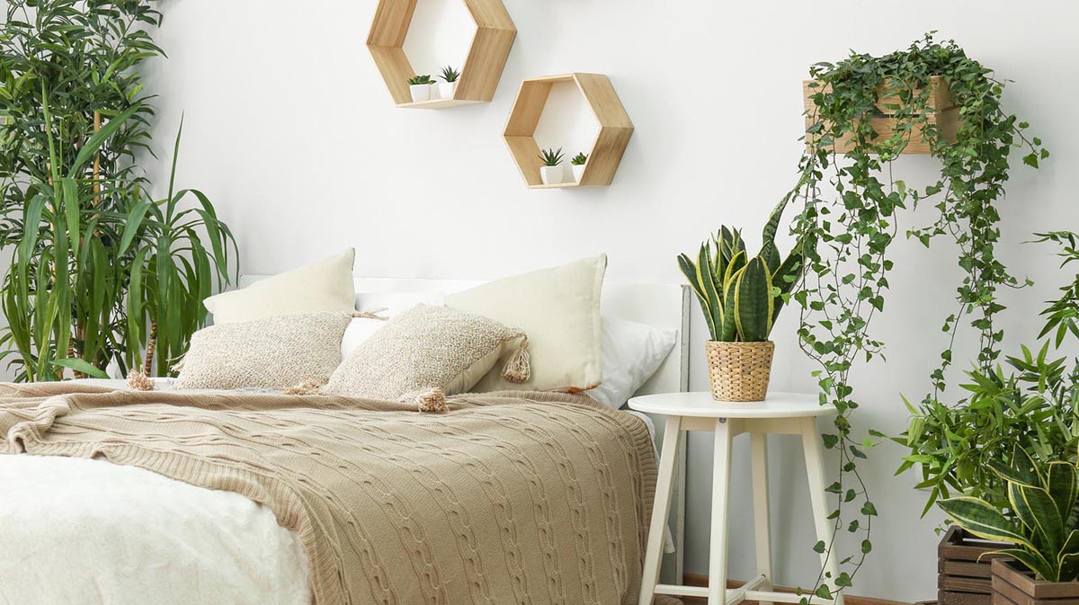 Cây xanh và đồ vật trang trí giúp cân bằng năng lượng