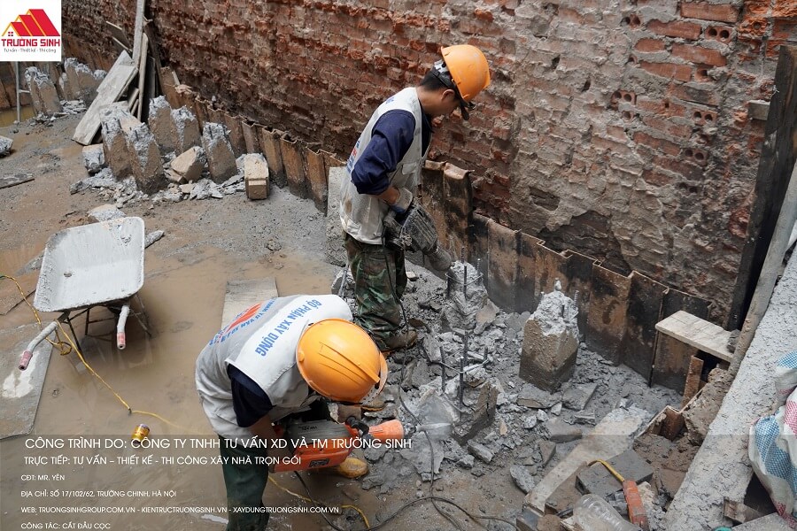 Sử dụng máy móc chuyên nghiệp để cắt đầu cọc